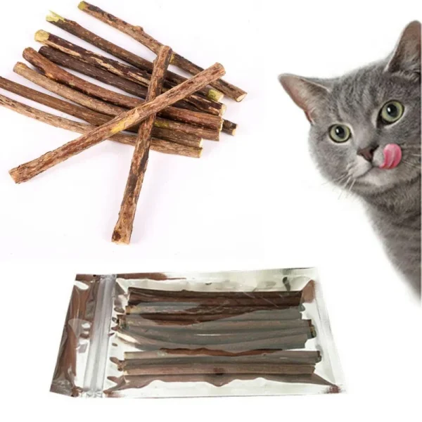 Cat Chew Toy